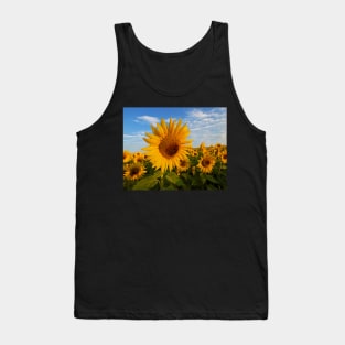 Colby Farms Sunflower Field Newbury MA Sunrise Tank Top